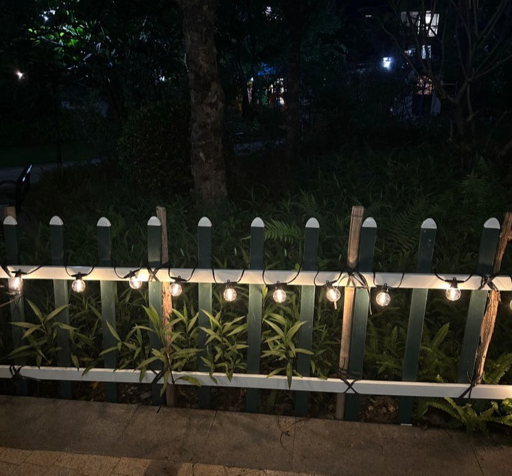 G45 LED String Light