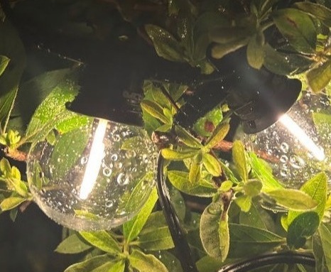 G45 Led String Light