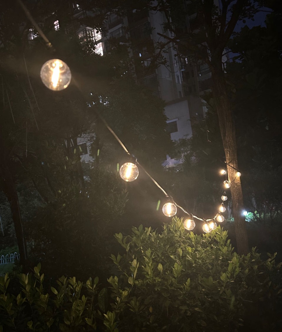 G45 LED String Light