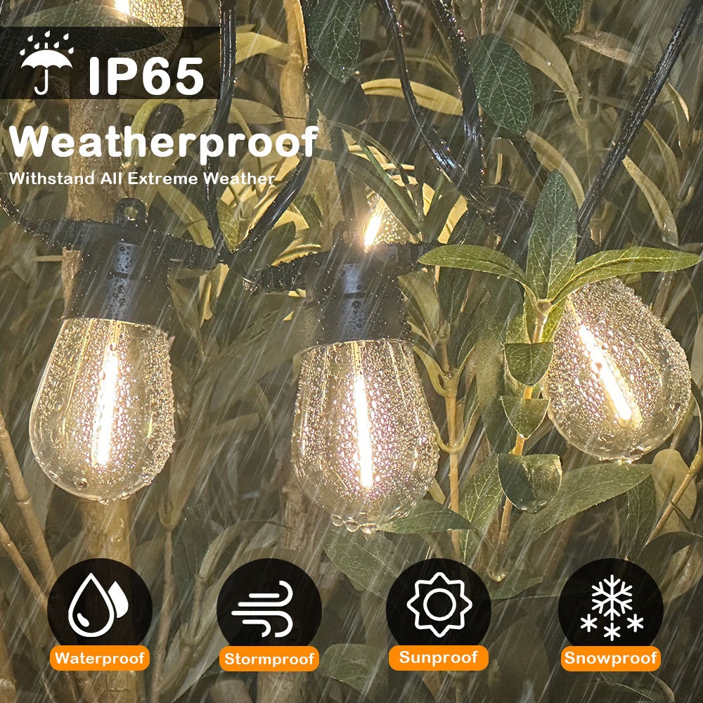 S14 Led String Light